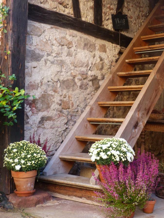 Le Voyage D'Ubuntu Villa Heiligenstein Екстериор снимка